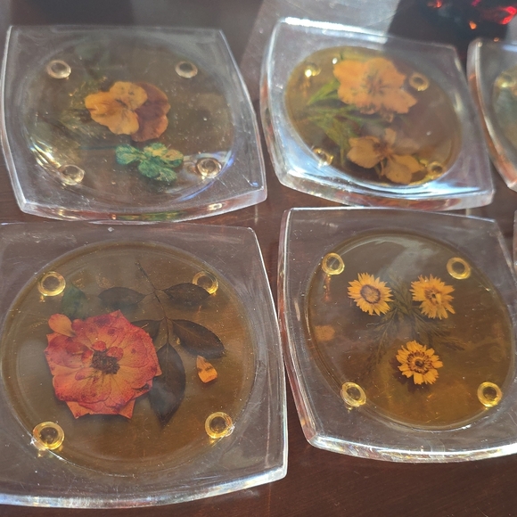 Other - 1970s Pressed Flower Coasters